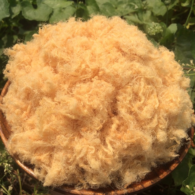1KG CHÀ BÔNG HEO XÙ BÔNG GÒN tặng 100G