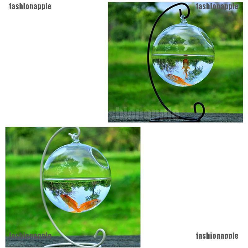 Bình Hoa Thủy Tinh Treo Tường Trang Trí Nhà Cửa