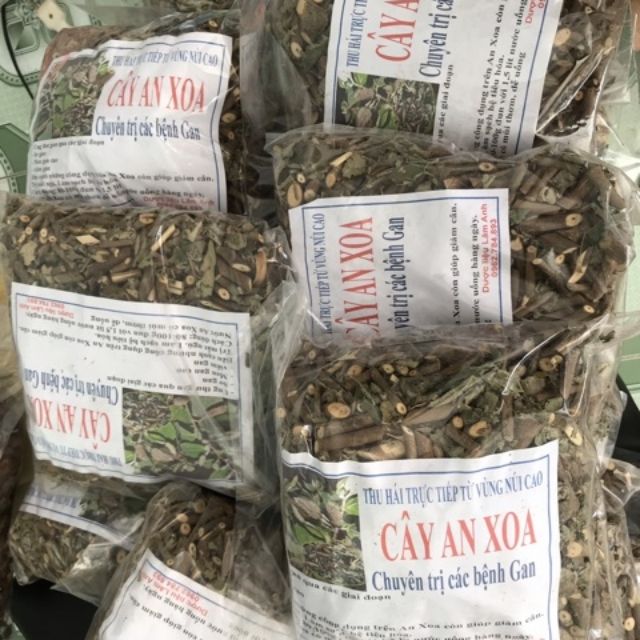 Combo 2kg cây an xoa