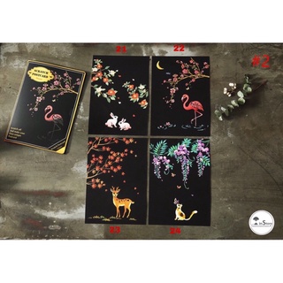 Combo tranh cạo Hàn Quốc