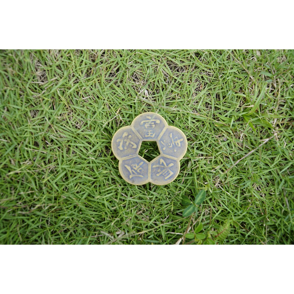 Đồng Xu Hoa Mai phong thủy chiêu tài | BigBuy360 - bigbuy360.vn