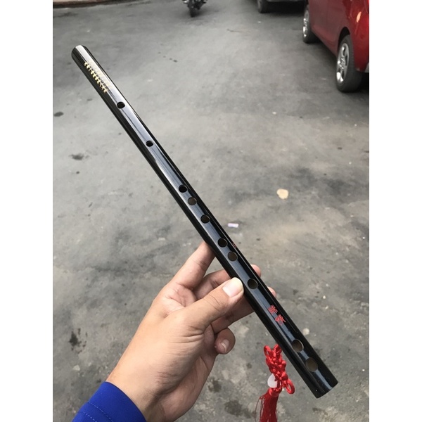 Sáo dizi trần tình