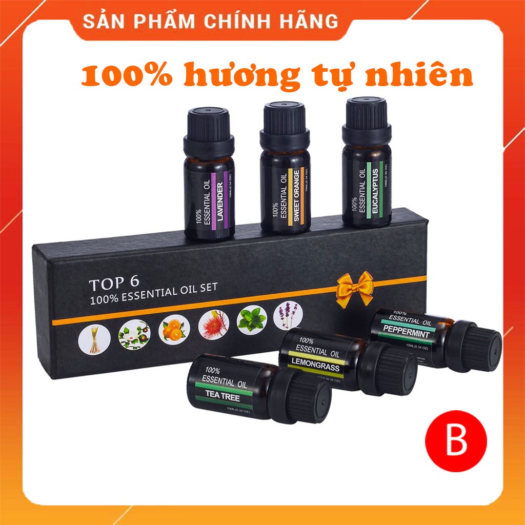 [COMBO 6 LỌ] Tinh dầu thiên nhiên 100% nguyên chất CAO CẤP nhập khẩu RHJY(LỌ 10ML)