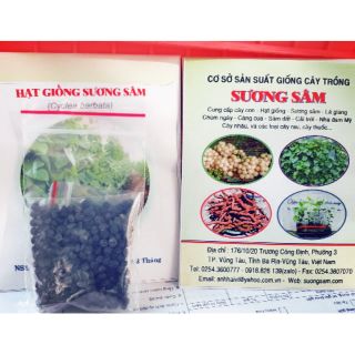 [MUA 2 TẶNG 1] 200 HẠT GIỐNG SƯƠNG SÂM LÔNG - Tư vấn gieo trồng, chăm sóc suốt đời..