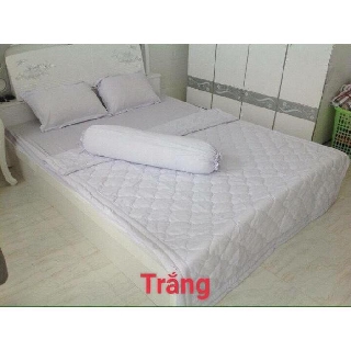 [XẢ KHO]  Bộ Drap Thun Màu Hàn Quốc Mát Lạnh