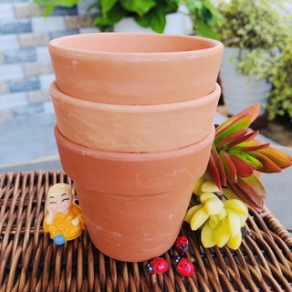 Chậu Đất Nung trồng Sen Đá