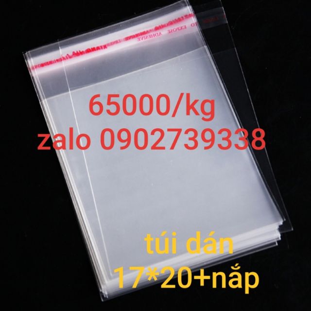 Túi dán 17*20+4 nắp