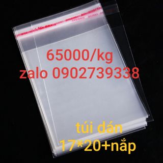 Túi dán 17*20+4 nắp