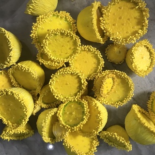 Nhị Sen ( combo 5 cái)