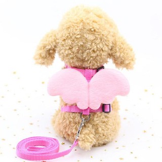 dây dắt chó cánh thiên thần