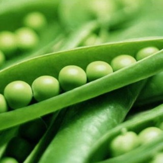 10Gr Hạt Giống Đậu Hà Lan luckyseed hạt siêu rẻ