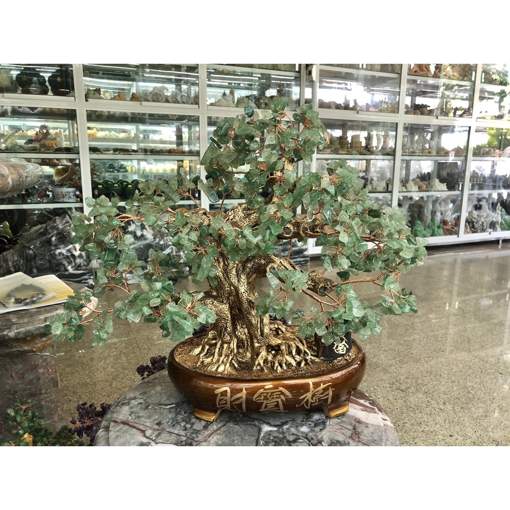 Cây Tài Lộc bonsai phong thủy đá TA. dâu tây xanh - Cao 40 cm