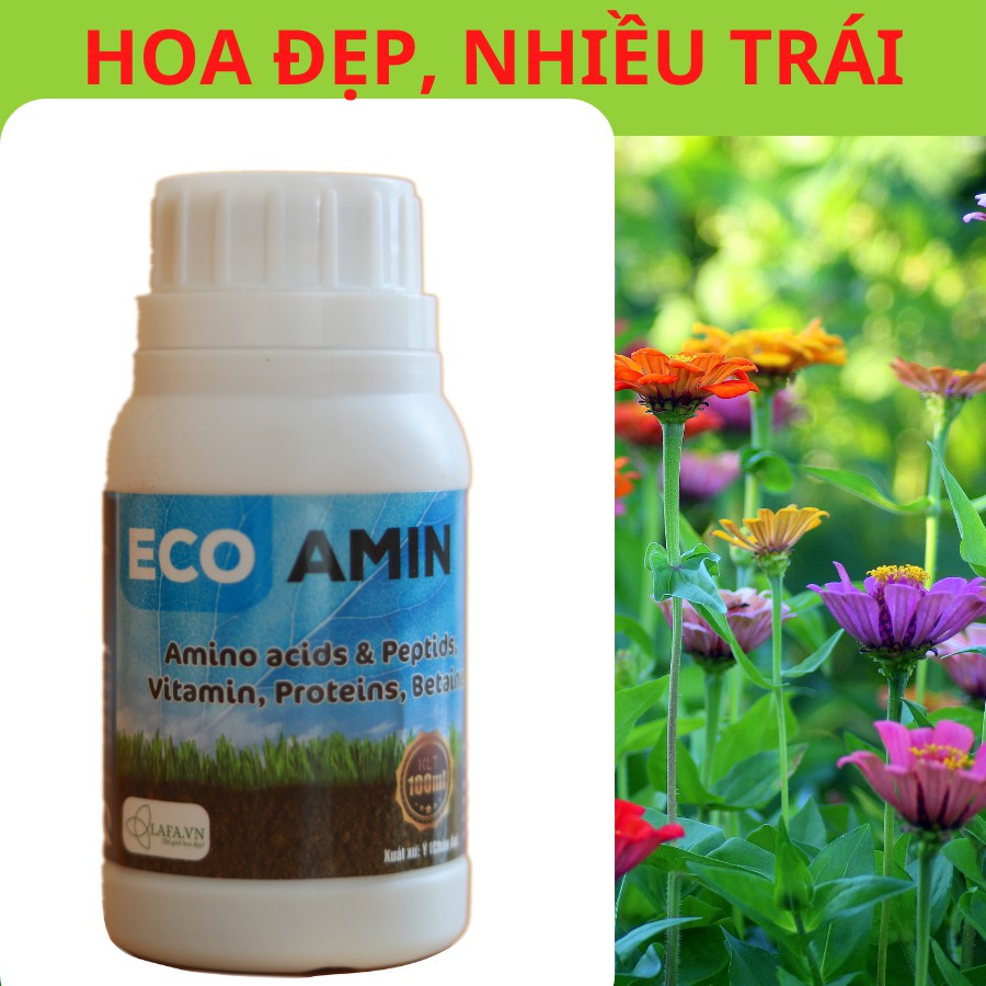 Phân bón hữu cơ Eco Amin LAFA chai 100ml sử dụng trong giai đoạn cây trồng phát triển