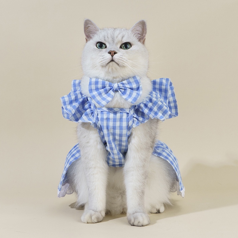 Đầm HiPiDog hình chú gấu teddy xinh xắn cho thú cưng