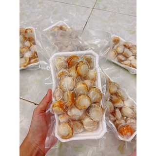 300gr nõn sò điệp nhật