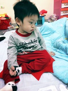 Set khủng long siêu chất kèm feedback