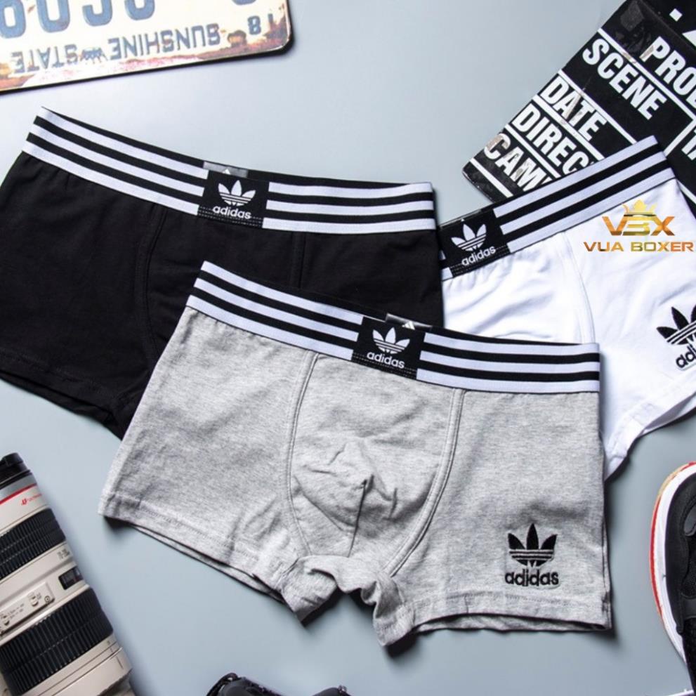 Sét 4 Quần Sịp đùi boxer nam vải cotton kháng khuẩn khử mùi, co giãn cao cấp DAS-CT01 - VUA BOXER
