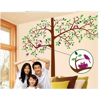Decal dán tường cây tổ chim 2 binbin pk87