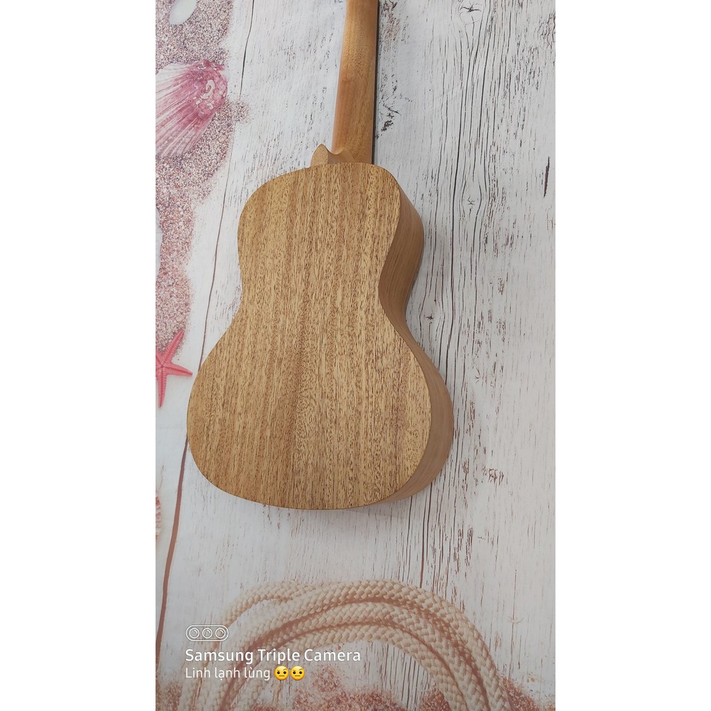 Đàn Ukulele size Concert gỗ Mahogany + Tặng Bao + Phím gảy