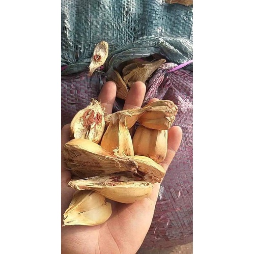 Quả dứa dại (dứa biển) khô hút chân không