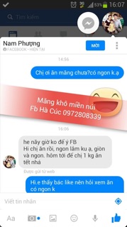 1086 Măng khô rối miền núi