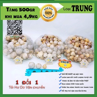 1 kg tỏi cô đơn Việt Nam loại TRUNG ngon lành, tỏi 1 nhánh Hải Dương, tỏi mồ côi bón phân sinh học