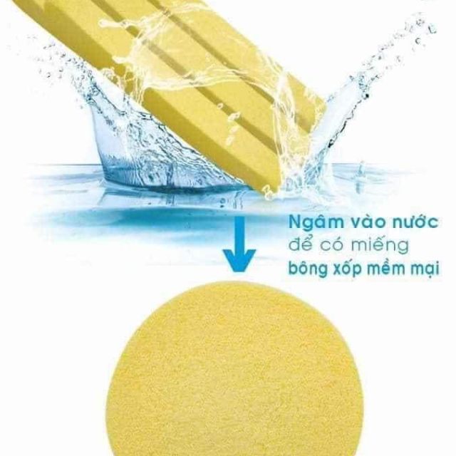 Bông Mút Bọt Biển Mút Rửa Mặt  Chính Hãng 240 miếng - Spa VinMed