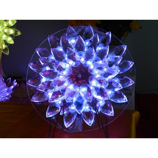 Hào Quang 20cm