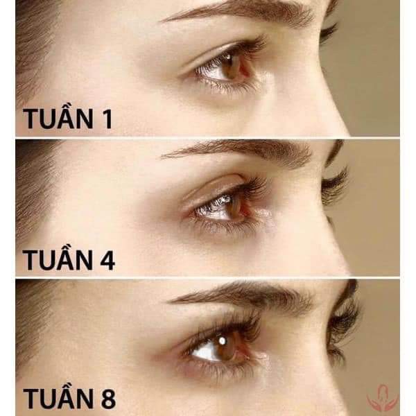 Huyết thanh Dưỡng mi Eveline 8 in 1 Total Action Lash Therapy professional