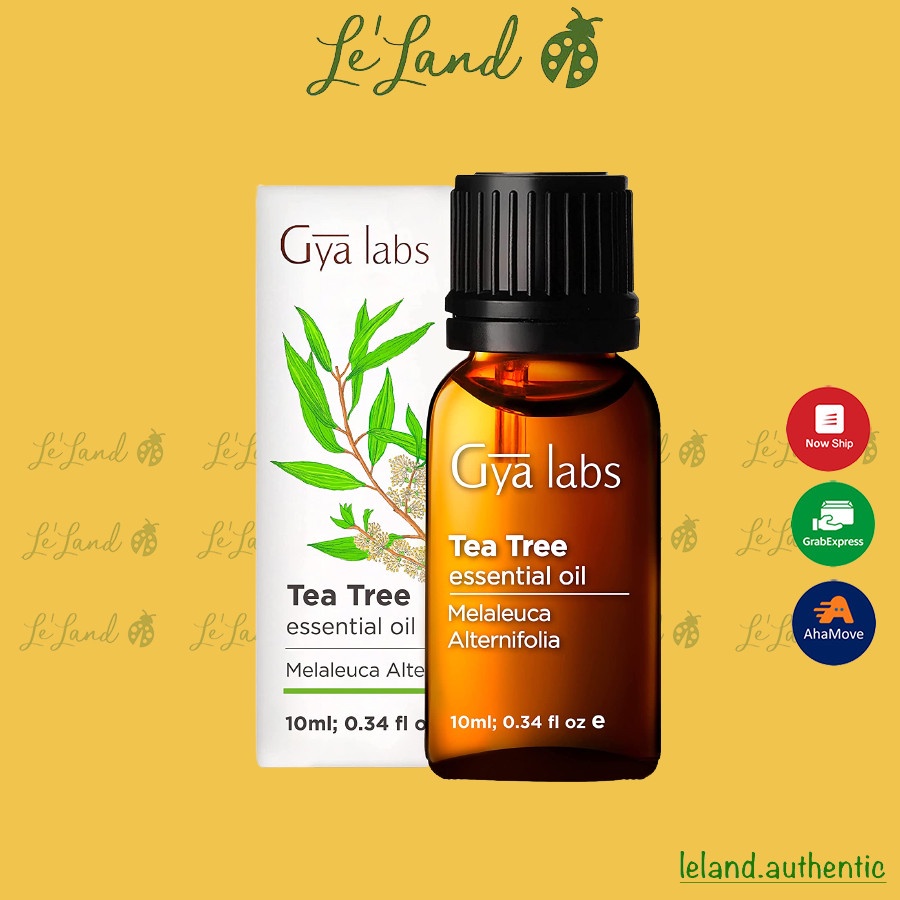 Bill US - Tinh dầu tràm giảm mụn, giảm gàu bán chạy số 1 ở Mỹ Gya Labs Tea Tree Essential Oil 10ml