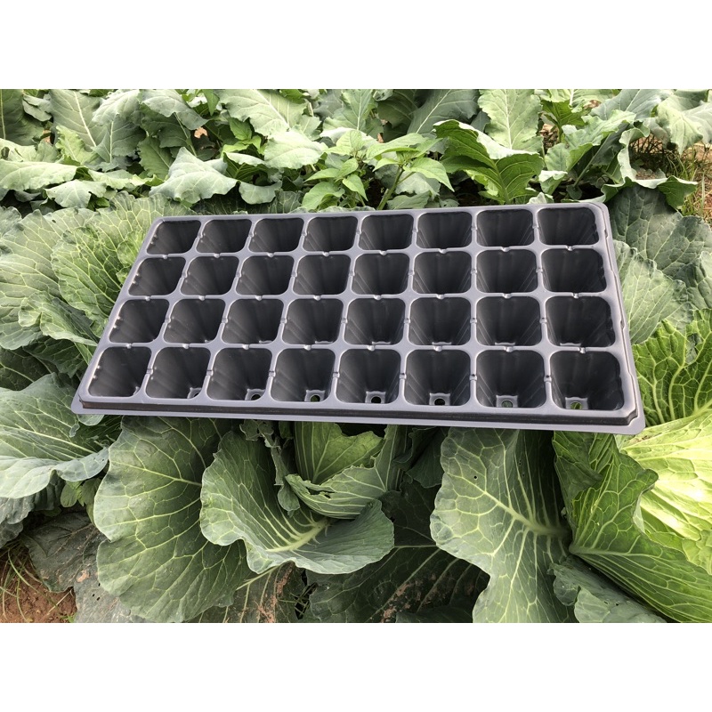 sét 5 khay ươm hạt 32 lỗ đk miệng 6cm cao 5,5cm