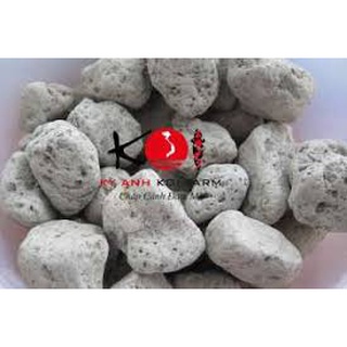Combo 10kg - đá nham thạch trắng - lọc nước hồ cá