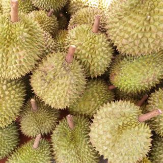 Sầu riêng cơm Bến Tre