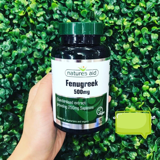 Cỏ lợi sữa Fenugreek chính hãng Uk