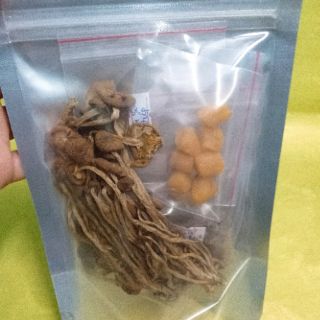 Canh nấm cây trà dưỡng sinh