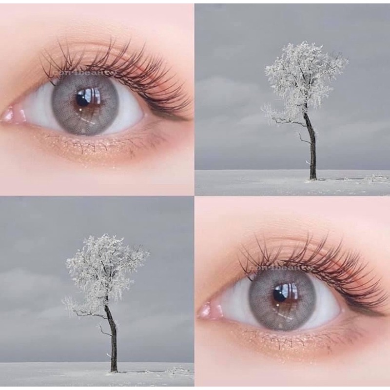 Lens mắt tone xám ,nâu Tây (0 độ) như hình mẫu kèm khay đơn