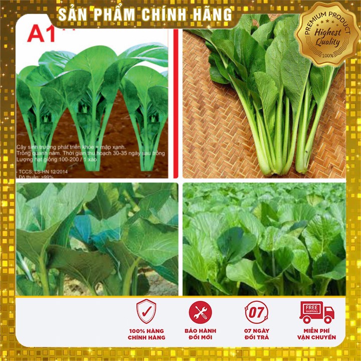 Hạt giống rau cải ngọt cọng xanh goi 20 gram hạt giống