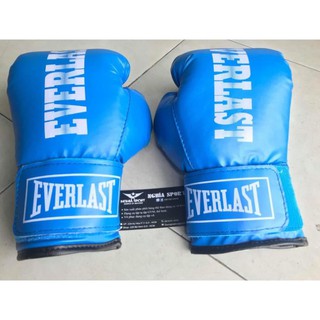 Găng boxing  cao cấp Everlast 10Oz - Boxing Store
