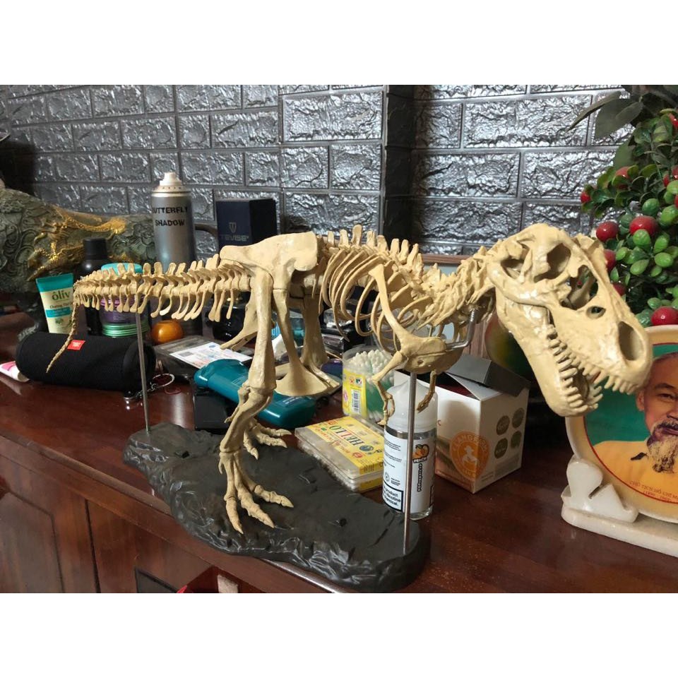 Mô hình Khủng Long Bạo Chúa T-Rex 5D