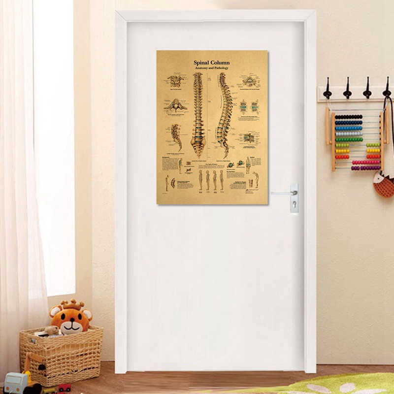 Tmdbyx Tấm Áp Phích Vải Canvas Treo Tường In Hình Giải Phẫu Học Cơ Thể Người