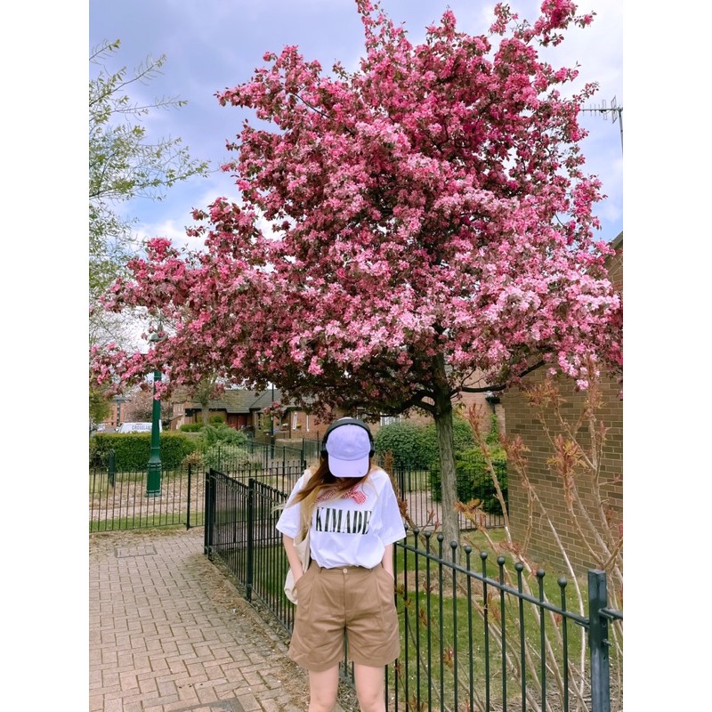 [KS] KIM- KAKI SHORTS- Quần đùi kaki 2022 | BigBuy360 - bigbuy360.vn