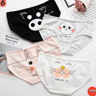 Quần lót cotton kute siêu đẹp hàng sịn túi zip 5 quần nhiều mẫu đẹp
