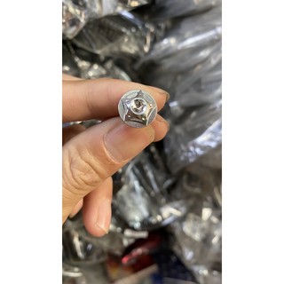 ốc salaya ngôi sao nhiều size