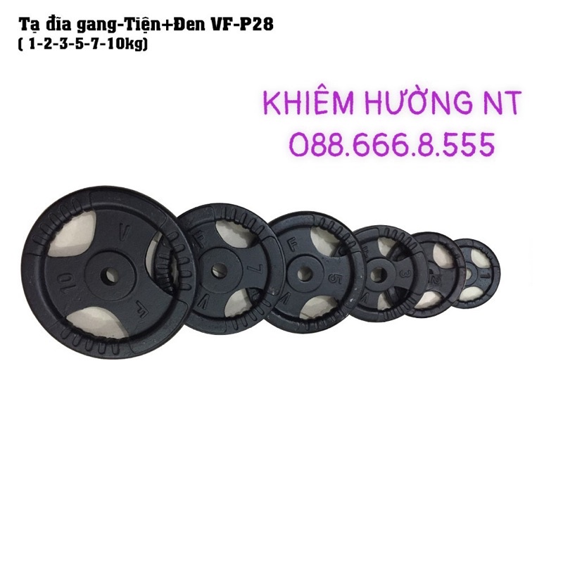 Tạ Đĩa miếng sắt tập Gym giá rẻ (10kg)