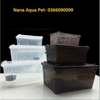 Hộp nuôi bò sát trong suốt