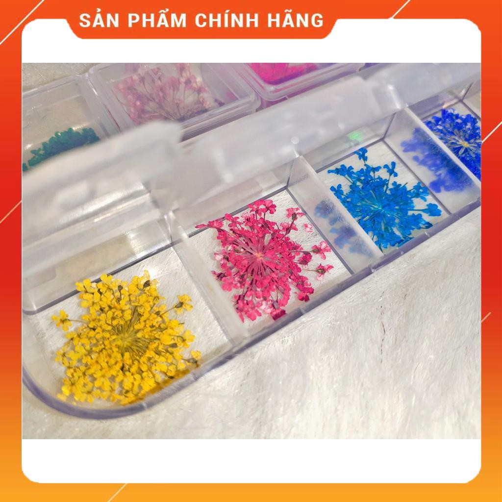 Set Hoa Khô Chùm Trang Trí Nail 12 Màu - Set Hoa Khô Chùm Trang Trí