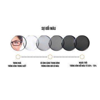 Kính cận râm 3,75 độ tròng đen