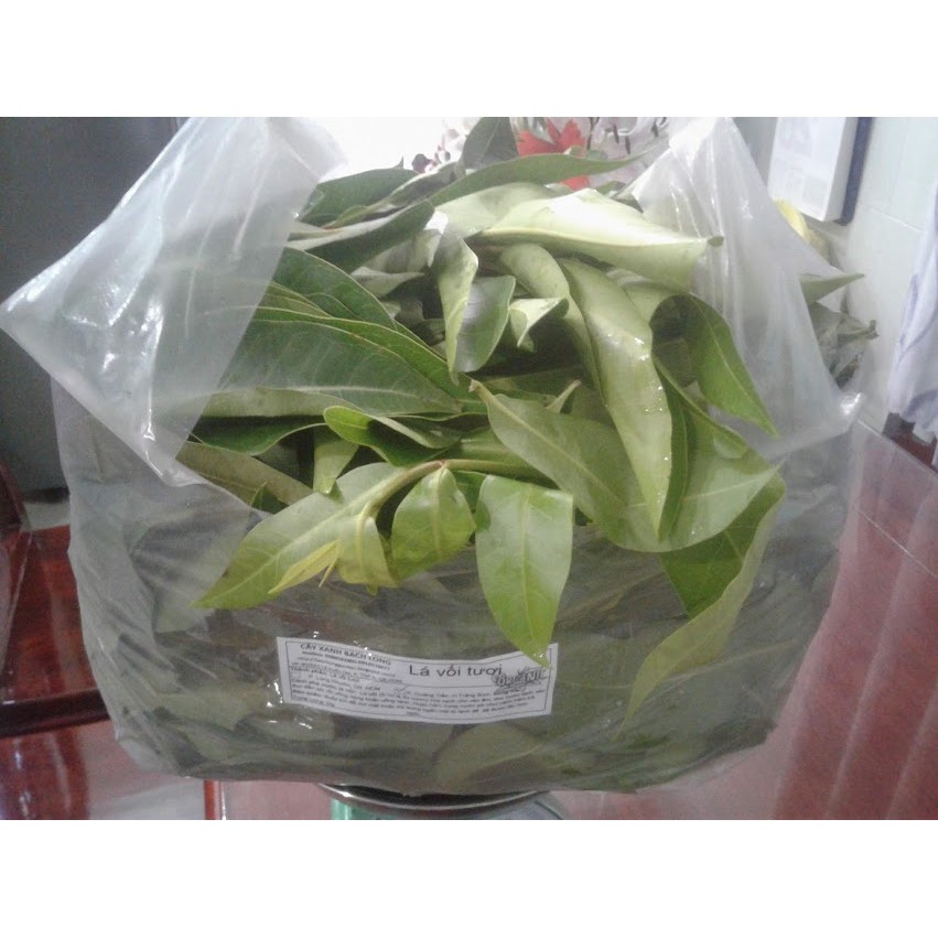 Lá Vối tươi (1kg)