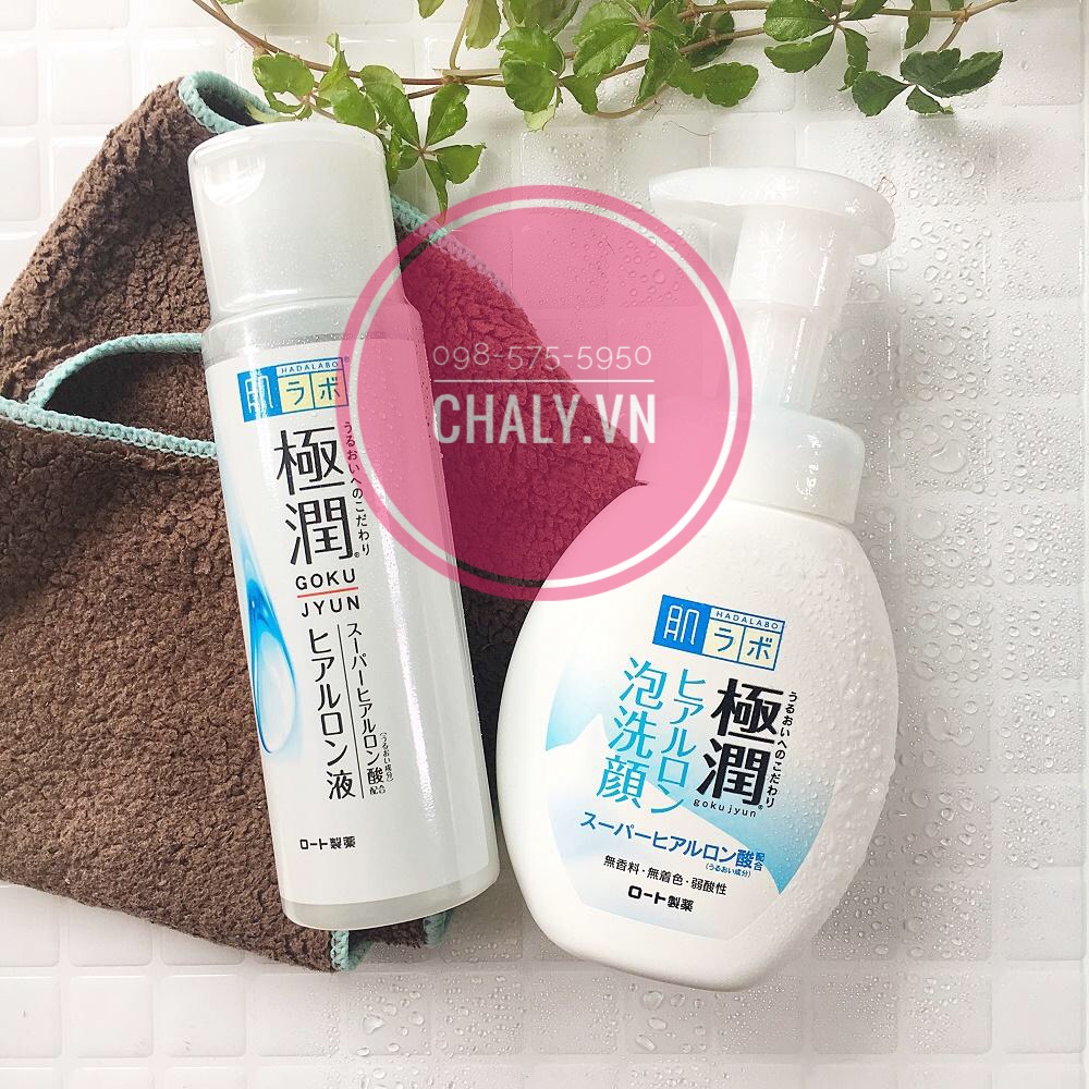 Sữa rửa mặt tạo bọt sẵn siêu mịn Hada Labo Gokujyun Foaming Cleanser 160ml Nhật