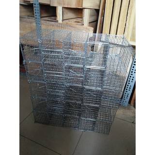 Combo 2 bẩy chuột . sóc loại lớn